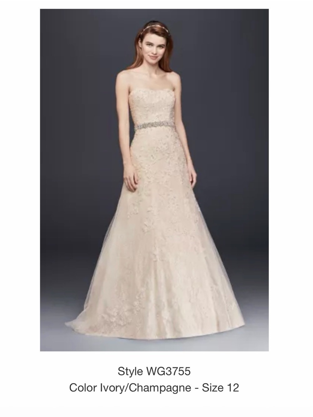 David's Bridal Strapless Lace Appliqué A-Line Wedding Dress in Ivory - Picture 4 of 4
